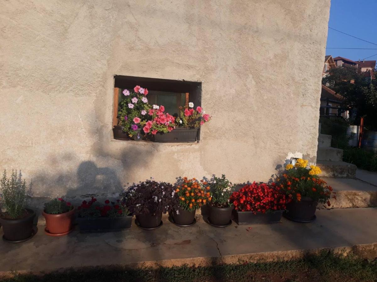 Smestaj Rakovic Pribojska Banja Exteriér fotografie