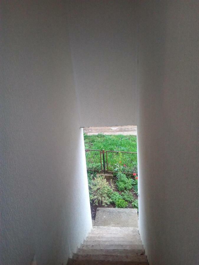 Smestaj Rakovic Pribojska Banja Exteriér fotografie